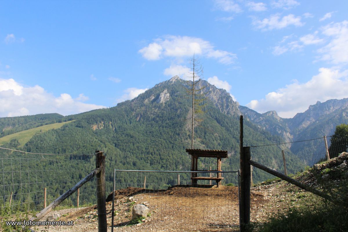 Wildpark_in_Strobl_Aussicht