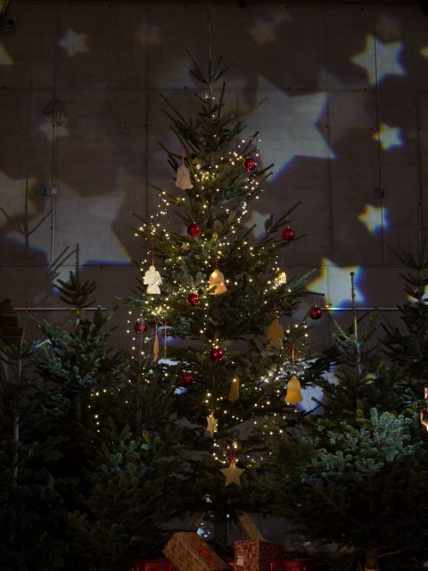 Weihnachtsbaum am Weihnachtsmarkt in den Kasematten 