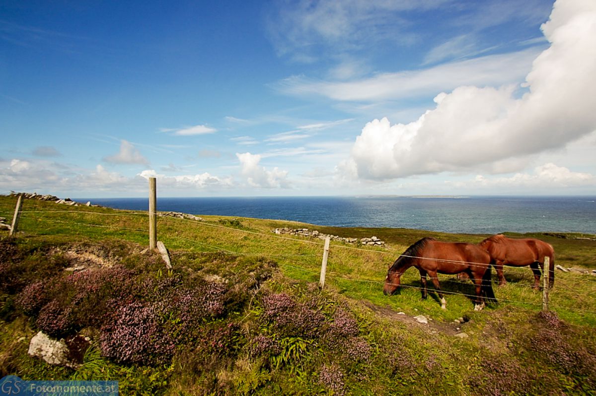 cliffs_of_moher-9