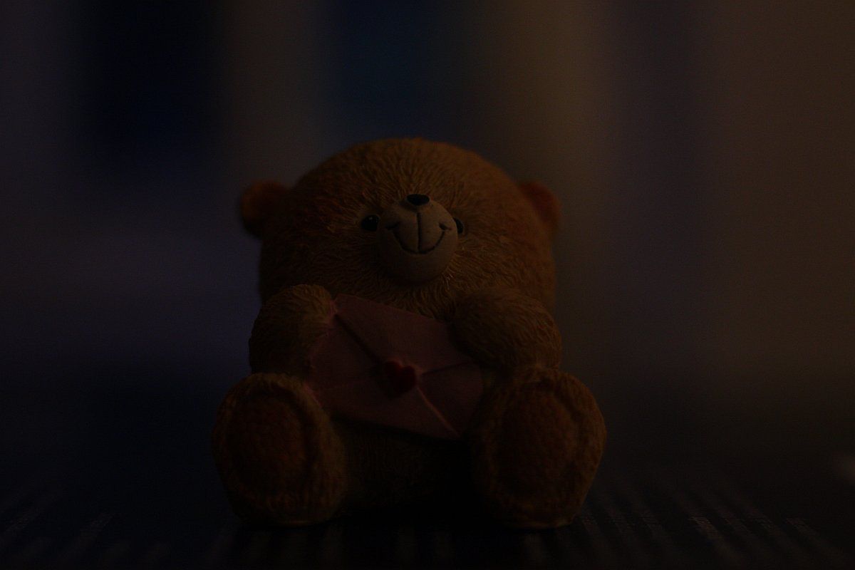 Teddy_Baer_Manuell_1d80s_f2_8_mit_ISO_800-IMG_5586