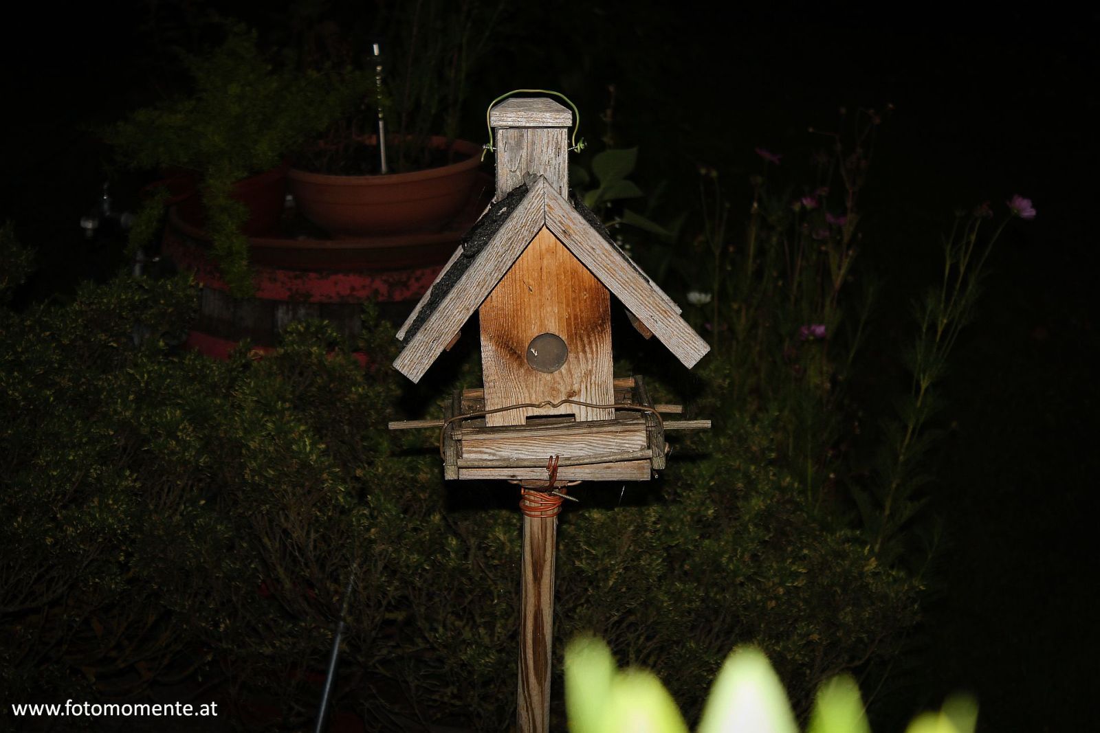 Vogelhaeuschen bei Nacht - Vogelhäuschen bei Nacht