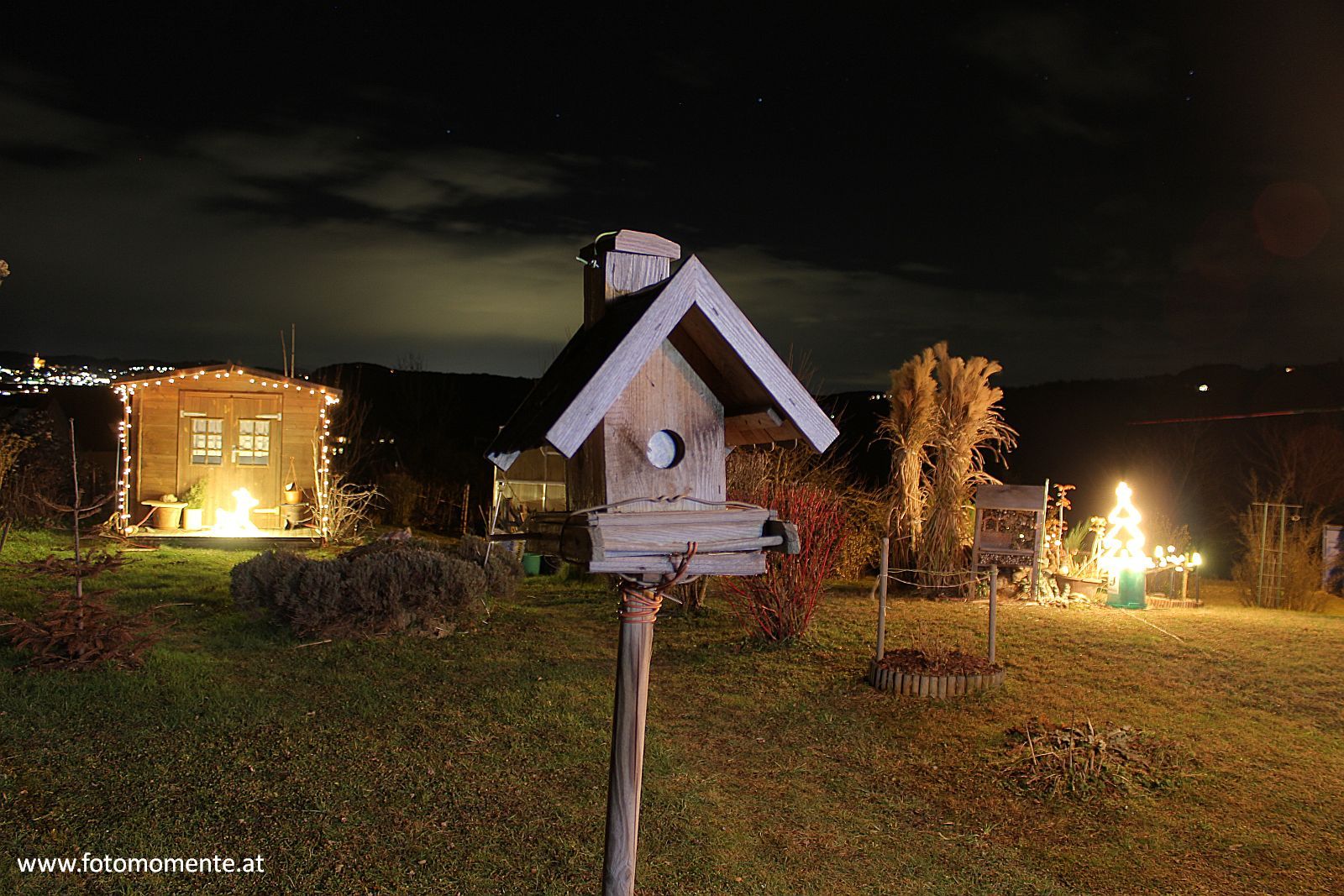 vogelhaeuschen weihnachten beleuchtung nacht - Vogelhäuschen bei Nacht mit Weihnachtsbeleuchtung