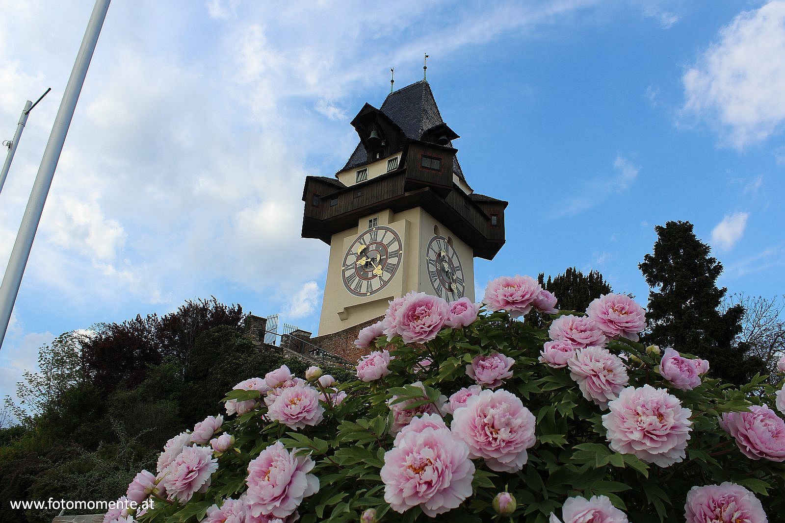 Uhrturm mit Pfingstrosen - Uhrturm am Grazer Schloßberg mit hübschen Pfingstrosen