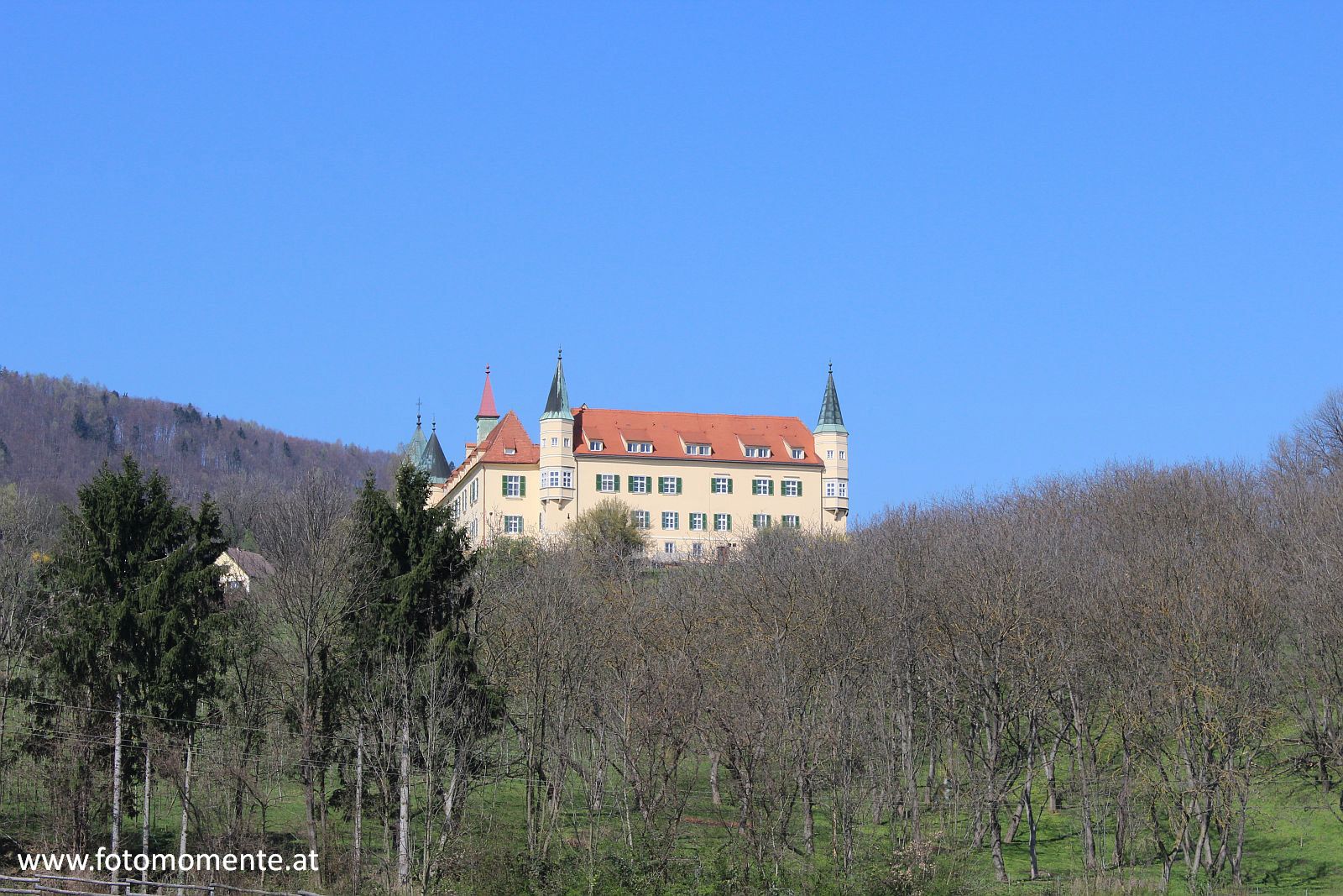 schloss st martin suchbild - Schloss St. Martin - Wer findet die Katze?