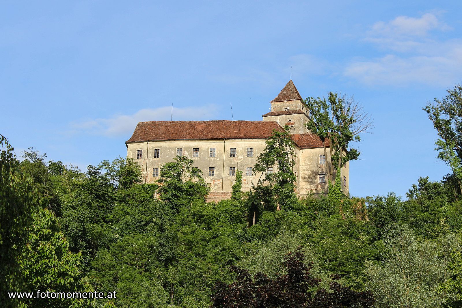 Burg Schloss Ehrenhausen - Schloss Ehrenhausen