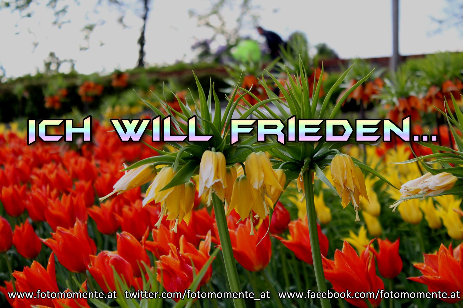 ich will frieden - Ich will Frieden