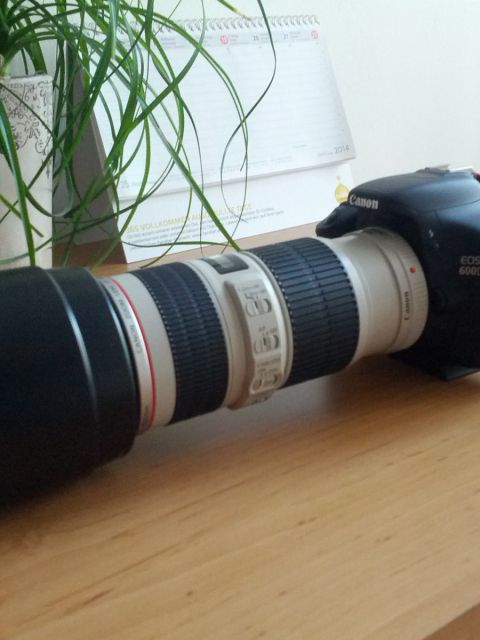 Canon 70 200 4L IS USM 480x640 - Canon EF 70-200mm f/4L IS USM Objektiv - Mein Erfahrungsbericht
