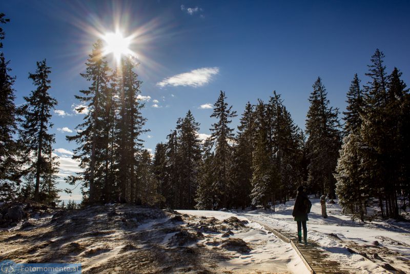 schöckl schnee 12 800x534 - Der Schöckl im Schnee