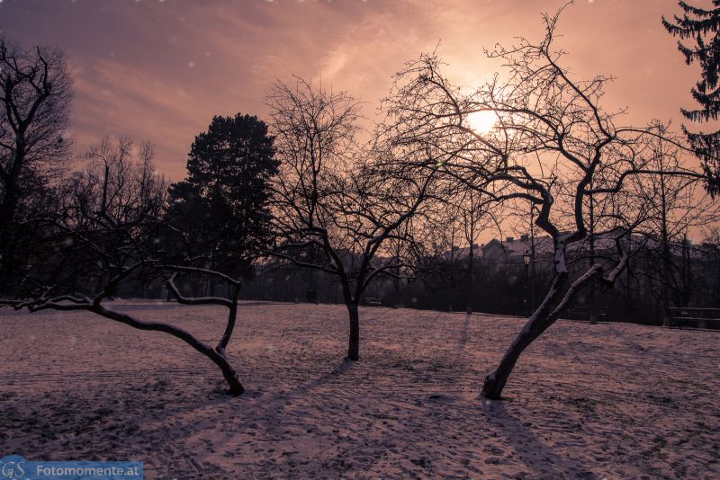 Graz Schnee Schneefall 1812 800x534 - Graz im Schnee, Jänner 2016