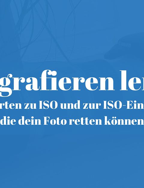 9 Antworten zu ISO und zur ISO Einstellung die dein Foto retten können 480x627 - 9 Antworten zu ISO und zur ISO-Einstellung, die dein Foto retten können