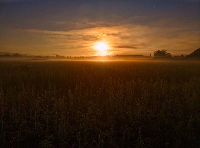 22580780 123640091667109 6228746973512466432 n - Sonnenaufgang über einem Acker - Instagram