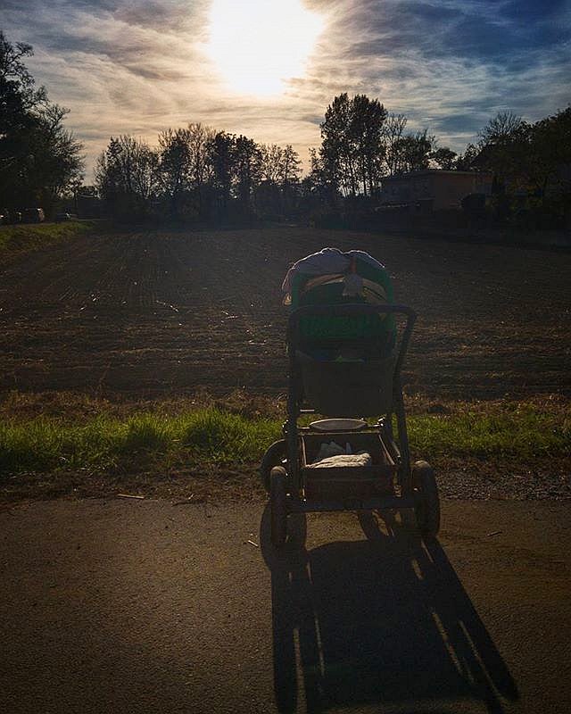 22638799 329403720803253 3896417772862701568 n - Abendspaziergang mit meinem Junior - Instagram