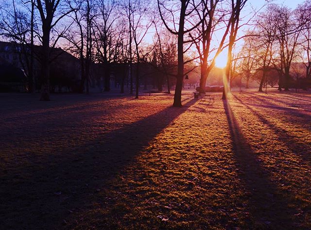 25006880 204169900151193 1229109963830329344 n - Mein aktuelles Foto vom 20.12.2017 auf Instagram