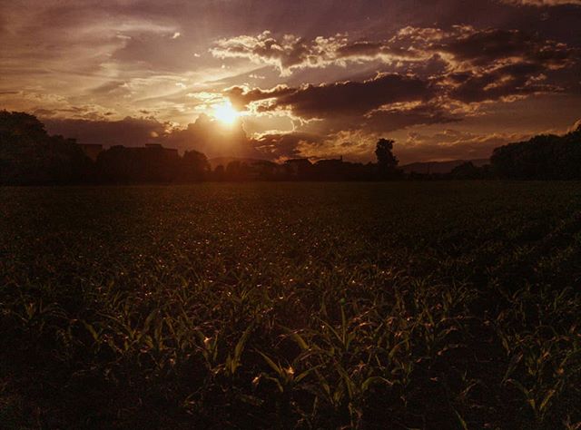 34291492 1388237167943075 316837383783841792 n - Mein aktuelles Foto auf Instagram - 05.06.2018